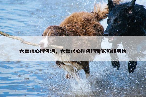 六盘水心理咨询,六盘水心理咨询专家热线电话 六盘水心理咨询,六盘水心理咨询专家热线电话
