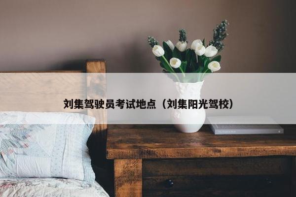 刘集驾驶员考试地点（刘集阳光驾校）