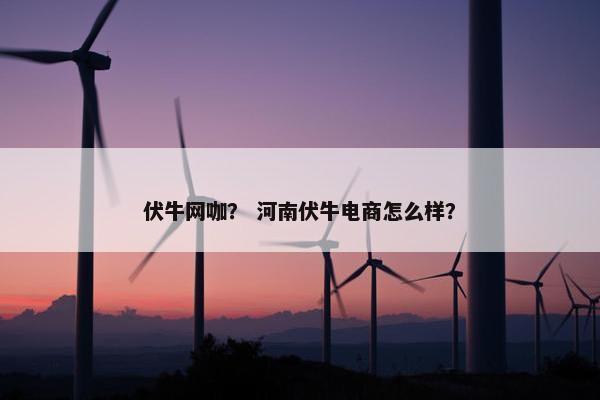 伏牛网咖？ 河南伏牛电商怎么样？