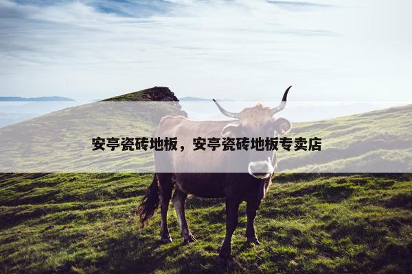 安亭瓷砖地板，安亭瓷砖地板专卖店