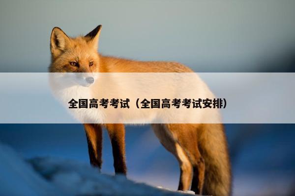 全国高考考试（全国高考考试安排）