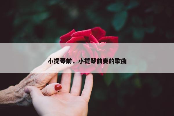 小提琴前，小提琴前奏的歌曲
