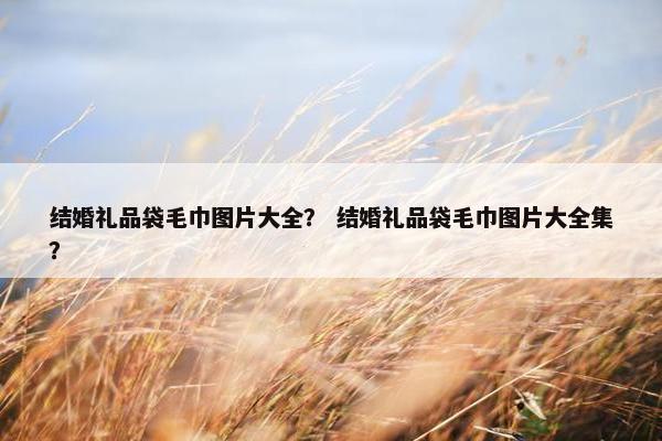 结婚礼品袋毛巾图片大全？ 结婚礼品袋毛巾图片大全集？