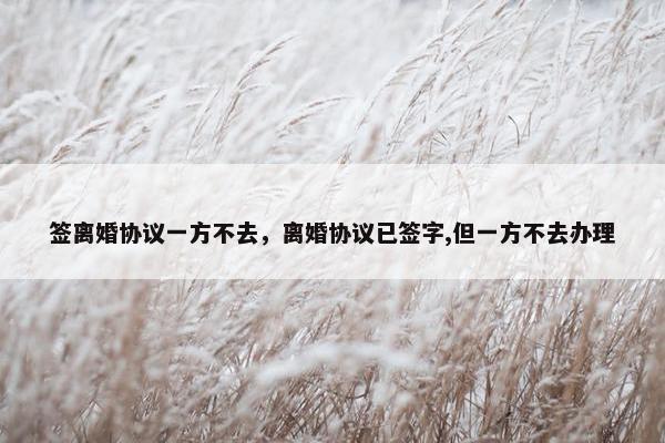 签离婚协议一方不去，离婚协议已签字,但一方不去办理