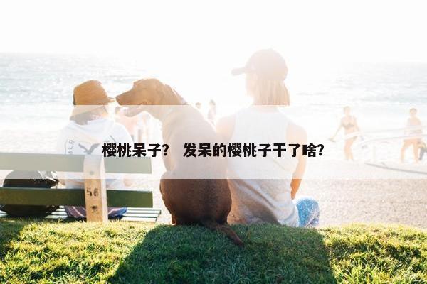 樱桃呆子？ 发呆的樱桃子干了啥？