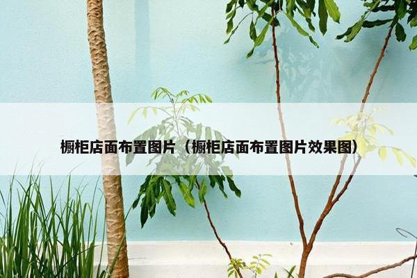 橱柜店面布置图片（橱柜店面布置图片效果图）