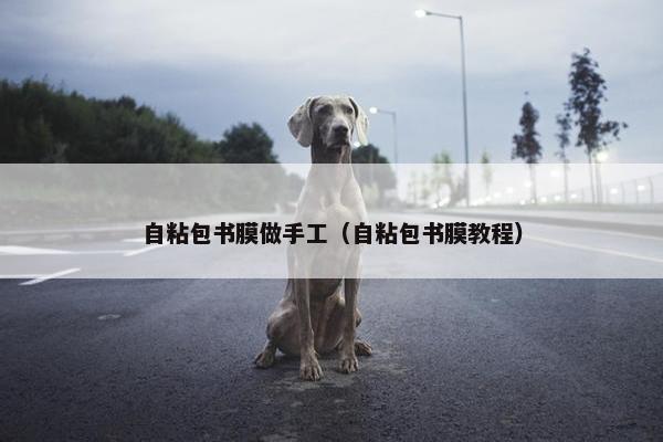 自粘包书膜做手工（自粘包书膜教程）