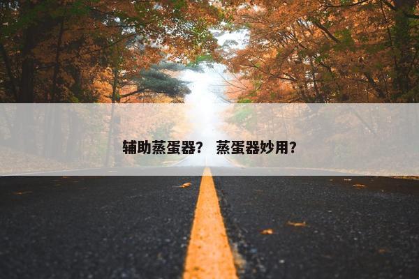 辅助蒸蛋器？ 蒸蛋器妙用？
