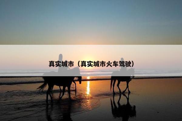 真实城市（真实城市火车驾驶）