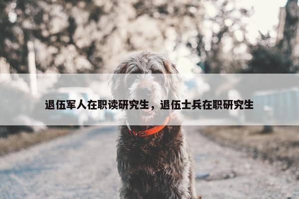 退伍军人在职读研究生，退伍士兵在职研究生