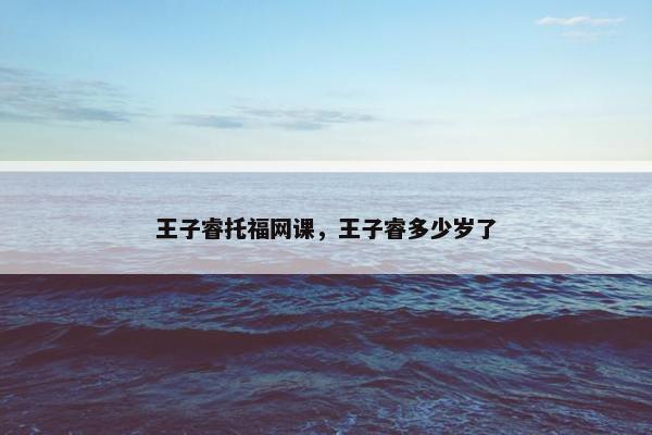 王子睿托福网课，王子睿多少岁了