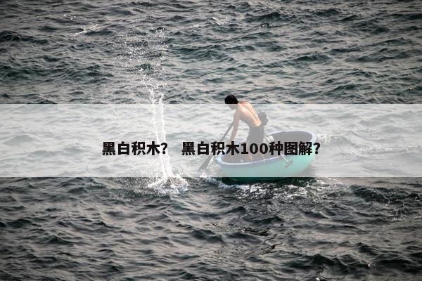 黑白积木？ 黑白积木100种图解？