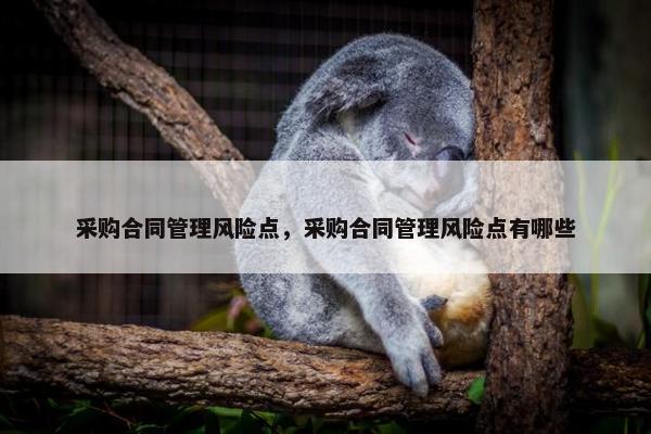 采购合同管理风险点，采购合同管理风险点有哪些