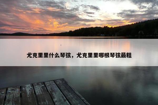 尤克里里什么琴弦，尤克里里哪根琴弦最粗