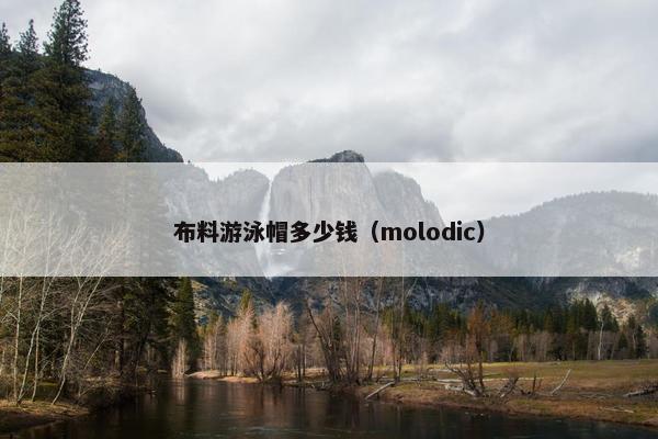 布料游泳帽多少钱(molodic) 布料游泳帽多少钱(molodic)