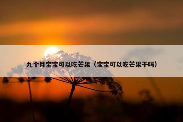 九个月宝宝可以吃芒果（宝宝可以吃芒果干吗）