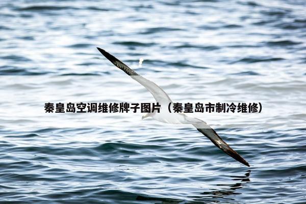 秦皇岛空调维修牌子图片(秦皇岛市制冷维修) 秦皇岛空调维修牌子图片(秦皇岛市制冷维修)