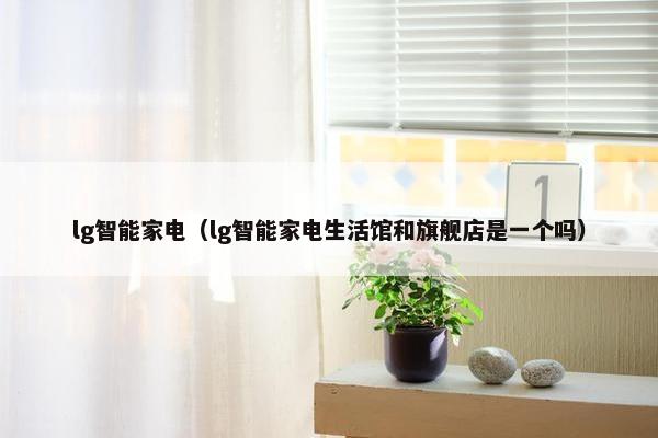 lg智能家电（lg智能家电生活馆和旗舰店是一个吗）