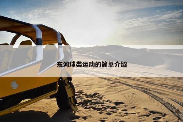 东河球类运动的简单介绍 东河球类运动的简单介绍