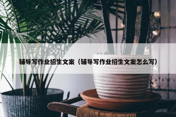 辅导写作业招生文案(辅导写作业招生文案怎么写) 辅导写作业招生文案(辅导写作业招生文案怎么写)