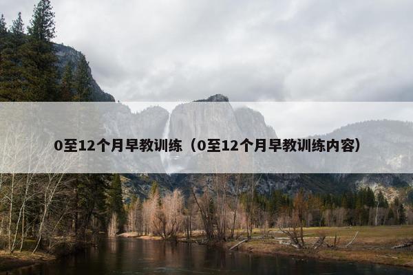 0至12个月早教训练（0至12个月早教训练内容）