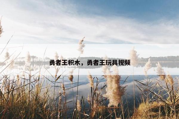 勇者王积木，勇者王玩具视频