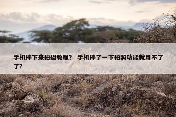 手机摔下来拍摄教程？ 手机摔了一下拍照功能就用不了了？