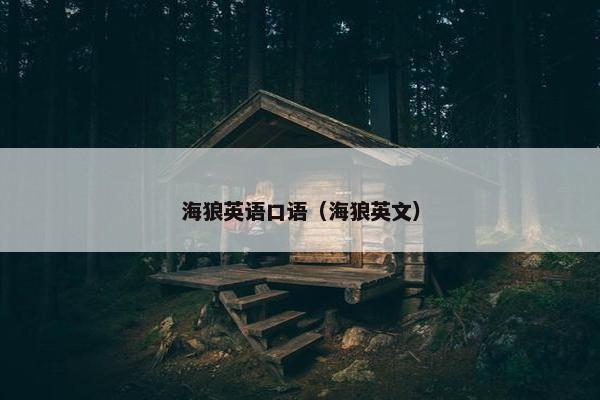 海狼英语口语(海狼英文) 海狼英语口语(海狼英文)
