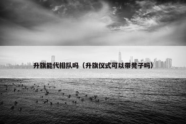 升旗能代排队吗（升旗仪式可以带凳子吗）