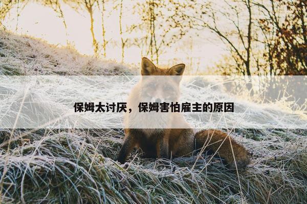 保姆太讨厌，保姆害怕雇主的原因
