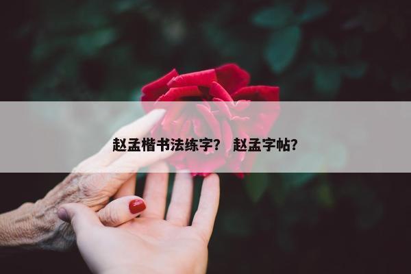 赵孟楷书法练字? 赵孟字帖? 赵孟楷书法练字? 赵孟字帖?