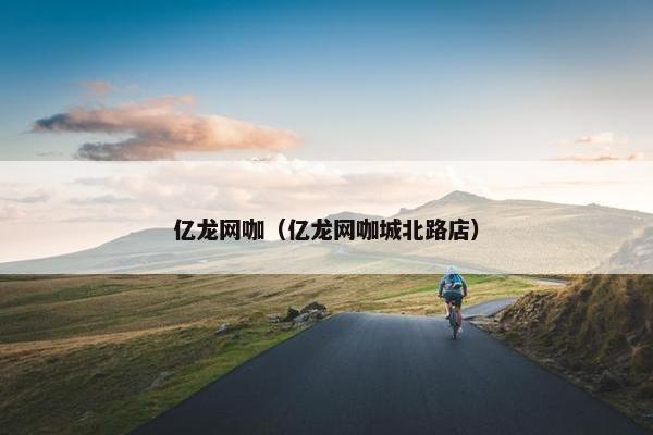 亿龙网咖（亿龙网咖城北路店）