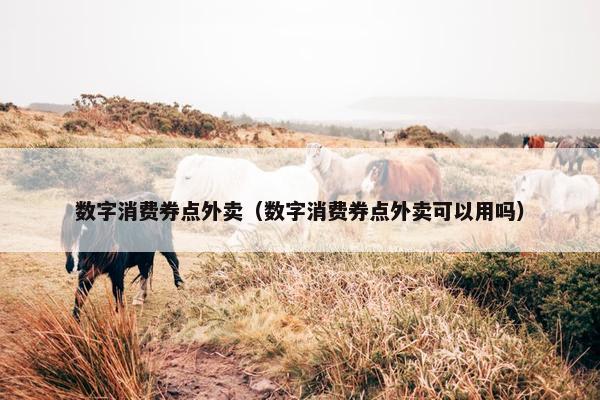 数字消费券点外卖（数字消费券点外卖可以用吗）