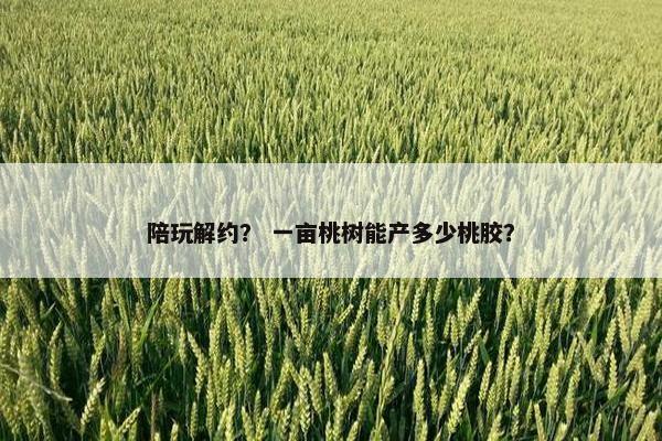 陪玩解约？ 一亩桃树能产多少桃胶？