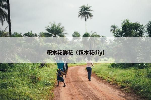 积木花鲜花(积木花diy) 积木花鲜花(积木花diy)