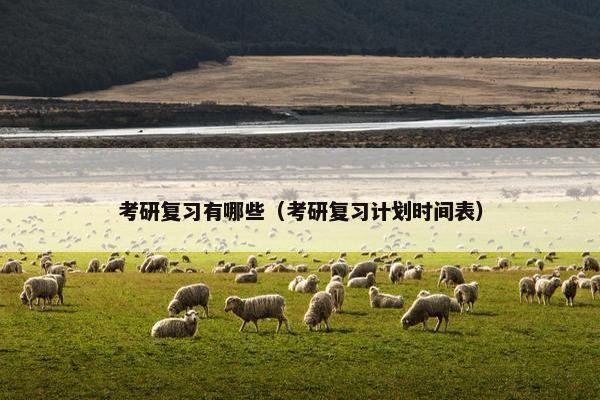 考研复习有哪些（考研复习计划时间表）