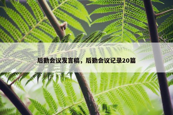 后勤会议发言稿，后勤会议记录20篇
