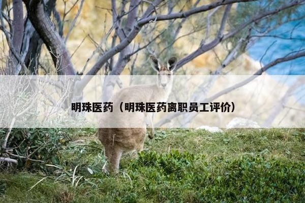 明珠医药（明珠医药离职员工评价）