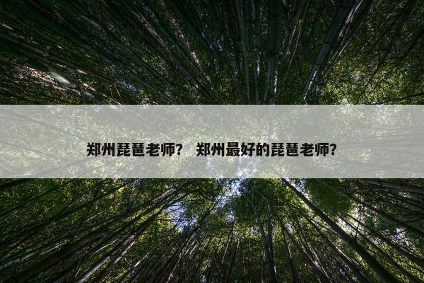 郑州琵琶老师？ 郑州最好的琵琶老师？
