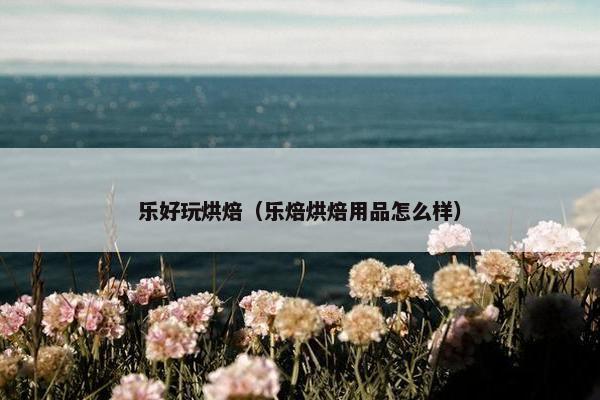乐好玩烘焙（乐焙烘焙用品怎么样）