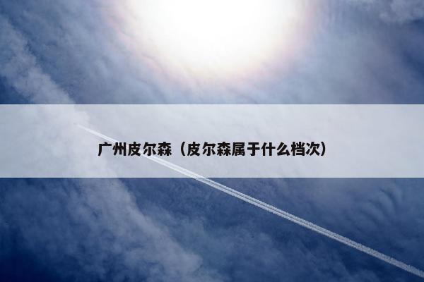 广州皮尔森（皮尔森属于什么档次）