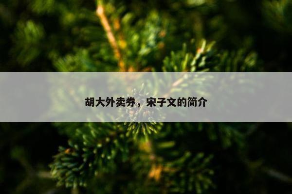 胡大外卖券，宋子文的简介